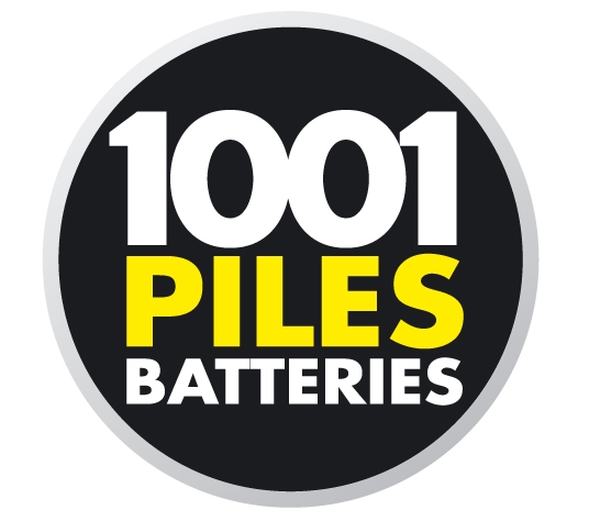 1001 Piles Batteries